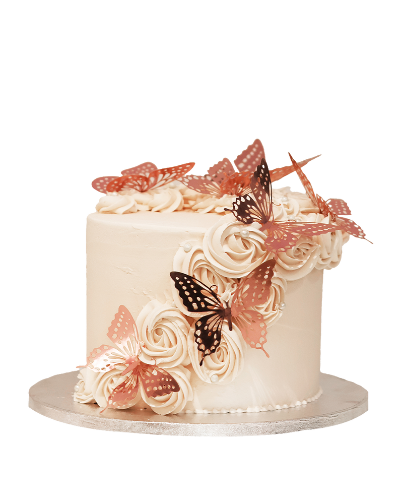Butterfly Cake